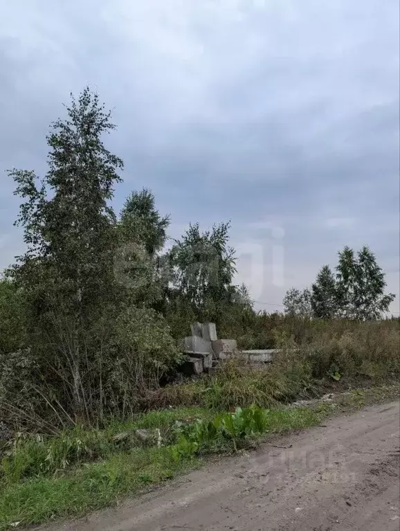 Участок в Тюменская область, Тюмень Поле Чудес СНТ, ул. Западная, 47 ... - Фото 1