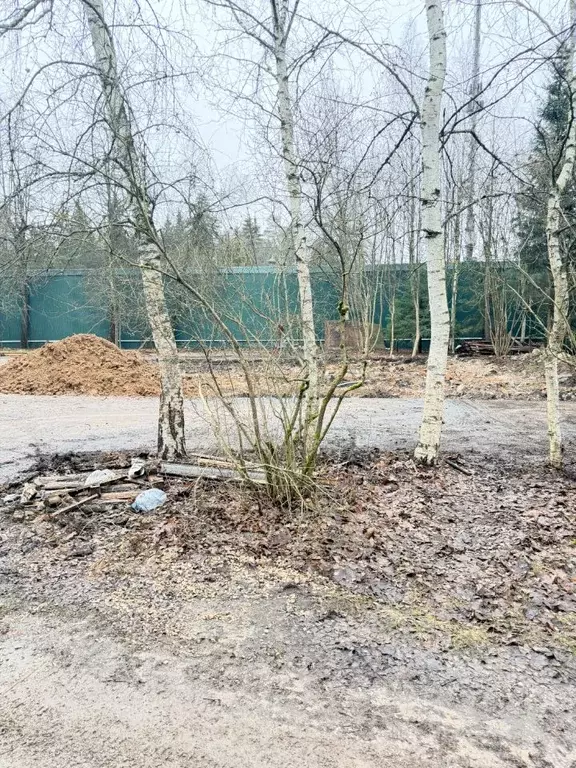 Участок в Московская область, Одинцовский городской округ, Жаворонок ... - Фото 2