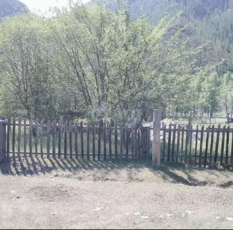 Участок в Алтай, Онгудайский район, с. Большой Яломан Центральная ул. ... - Фото 0