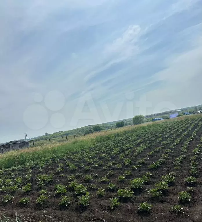 Дом 75 м на участке 65 сот. - Фото 1