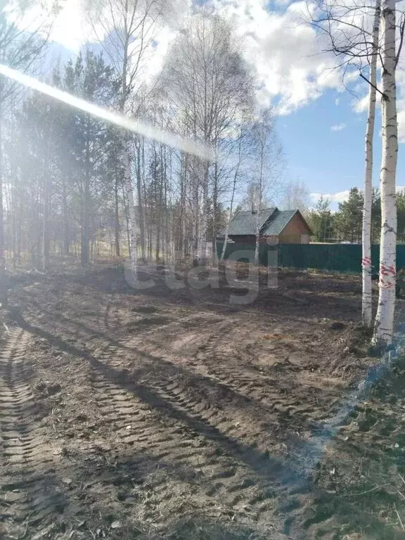 Участок в Тюменская область, Нижнетавдинский муниципальный округ, СТ ... - Фото 1