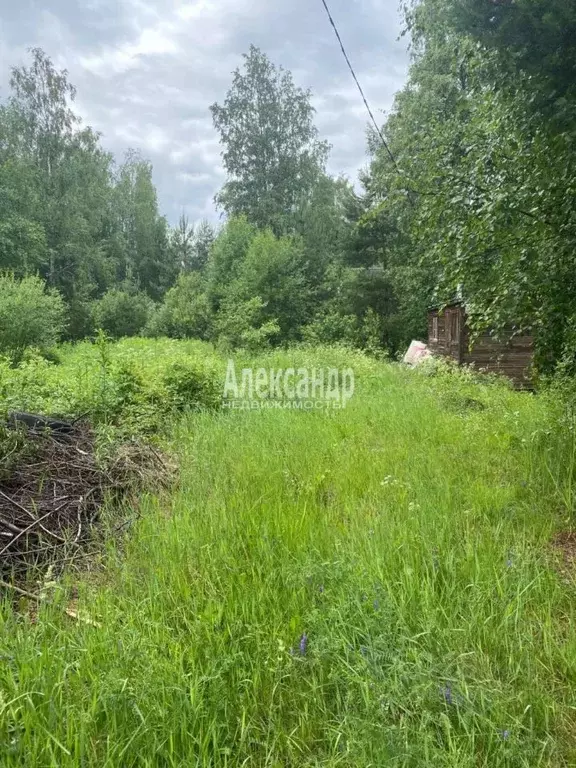 Участок в Ленинградская область, Приозерский район, Севастьяновское ... - Фото 0