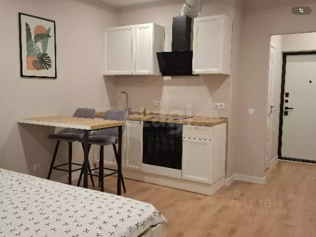 Студия Краснодарский край, Краснодар ул. Ивана Беличенко, 86к2 (25.1 ... - Фото 2