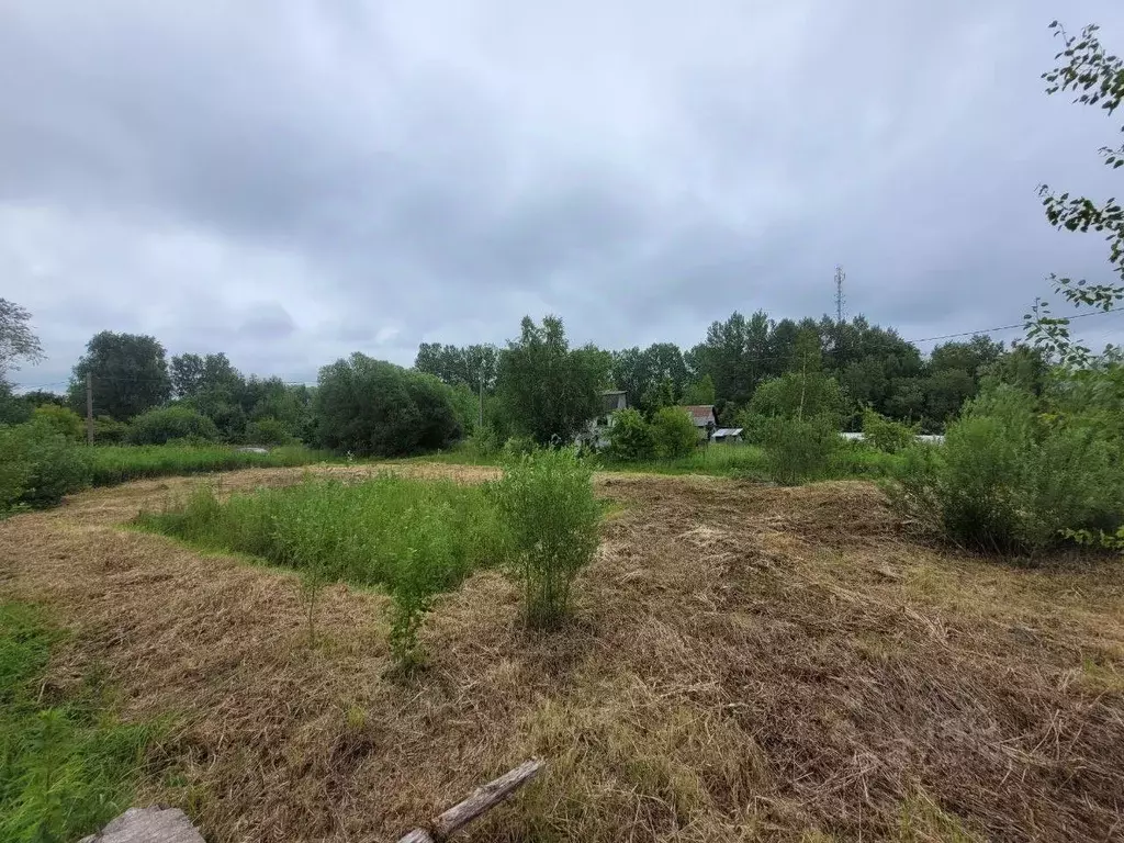 Участок в Калининградская область, Калининград Мелиоратор СНТ, ул. ... - Фото 1