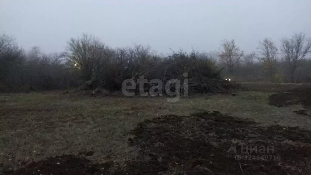 Участок в Ростовская область, Батайск Весна ДНТ, ул. 28-й Проезд (6.25 ... - Фото 1