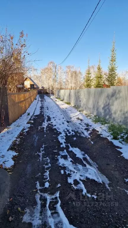 Дом в Омская область, Омский район, с. Красноярка ул. Ленина (80 м) - Фото 1