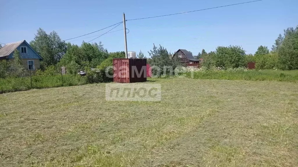 Участок в Владимирская область, Александровский район, Андреевское ... - Фото 1