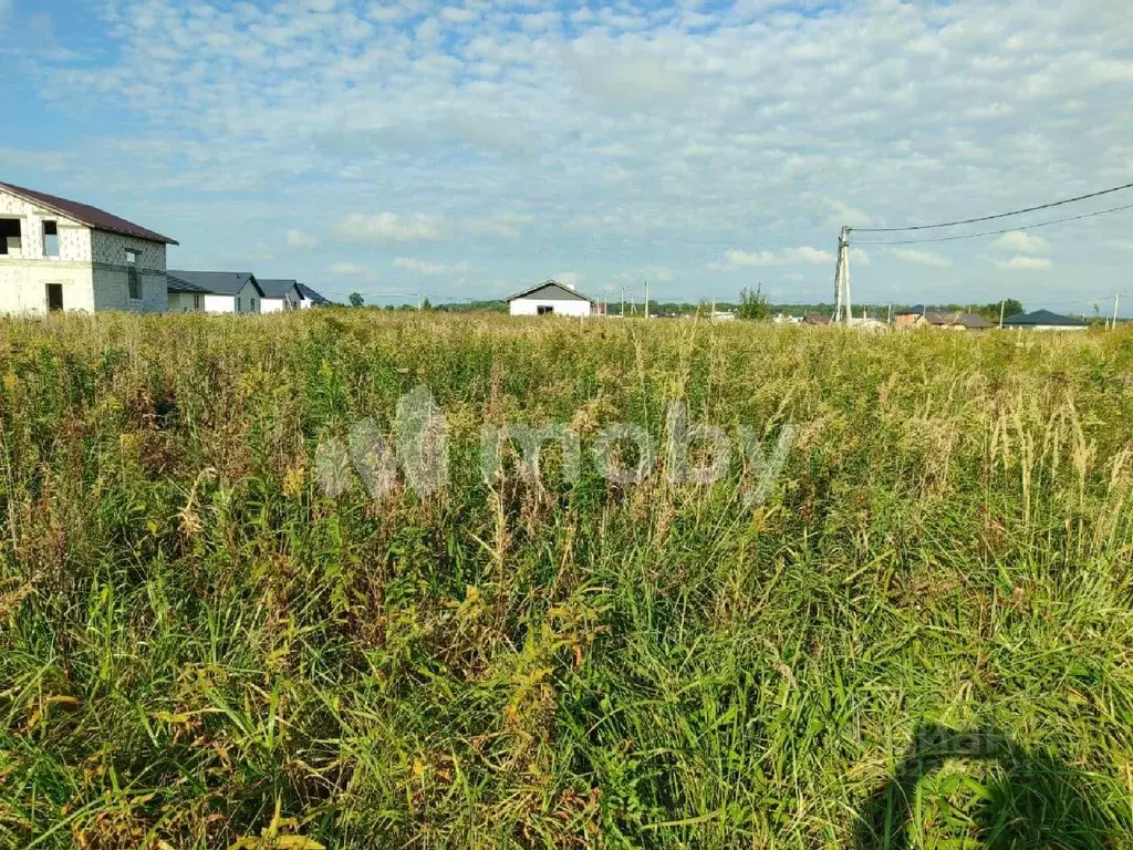 Участок в Калининградская область, Зеленоградский муниципальный округ, ... - Фото 2