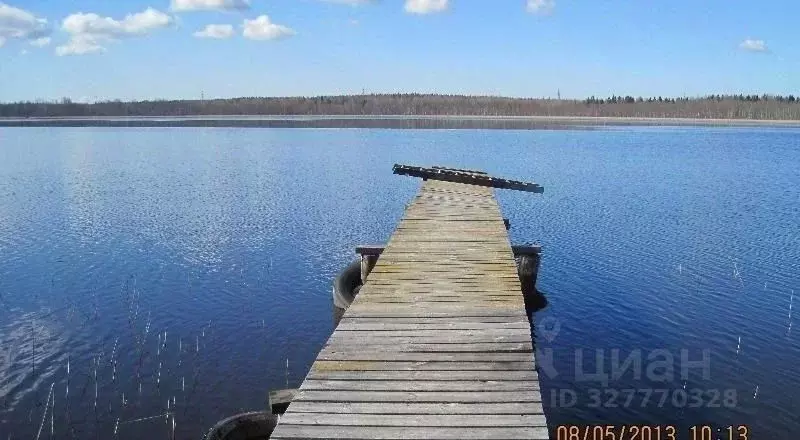 Участок в Ленинградская область, Выборгский район, Каменногорское ... - Фото 1
