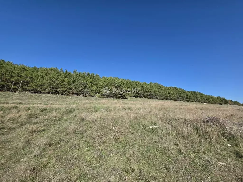 Участок в Крым, Симферопольский район, Трудовское с/пос, с. ... - Фото 2