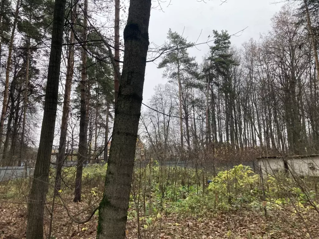 Участок в Москва д. Бачурино, 370А (9.0 сот.) - Фото 2