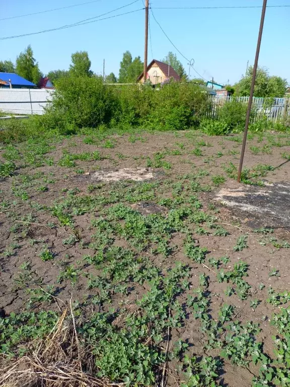 Участок в Омская область, Омск СОСН Заря тер.,  (5.08 сот.) - Фото 1