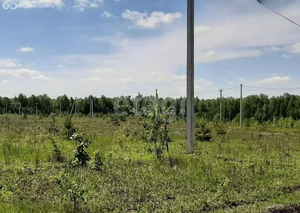 Участок в Высокогорский район, Берёзкинское сельское поселение, село ... - Фото 2