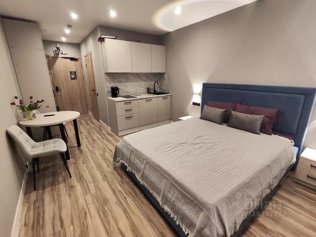 Студия Санкт-Петербург просп. Энергетиков, 2к2 (25.0 м) - Фото 1
