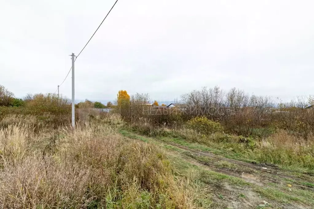 Участок в Тюменская область, Тюмень Рябинка-2 садовое товарищество,  ... - Фото 1