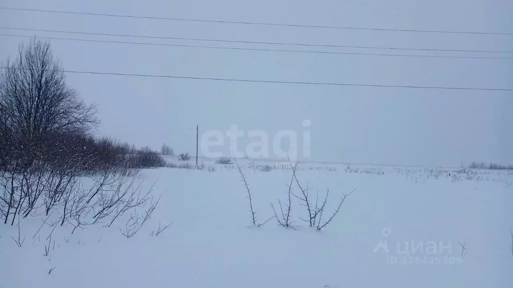 Участок в Мордовия, Саранск городской округ, Николаевка рп ул. Мирная ... - Фото 2