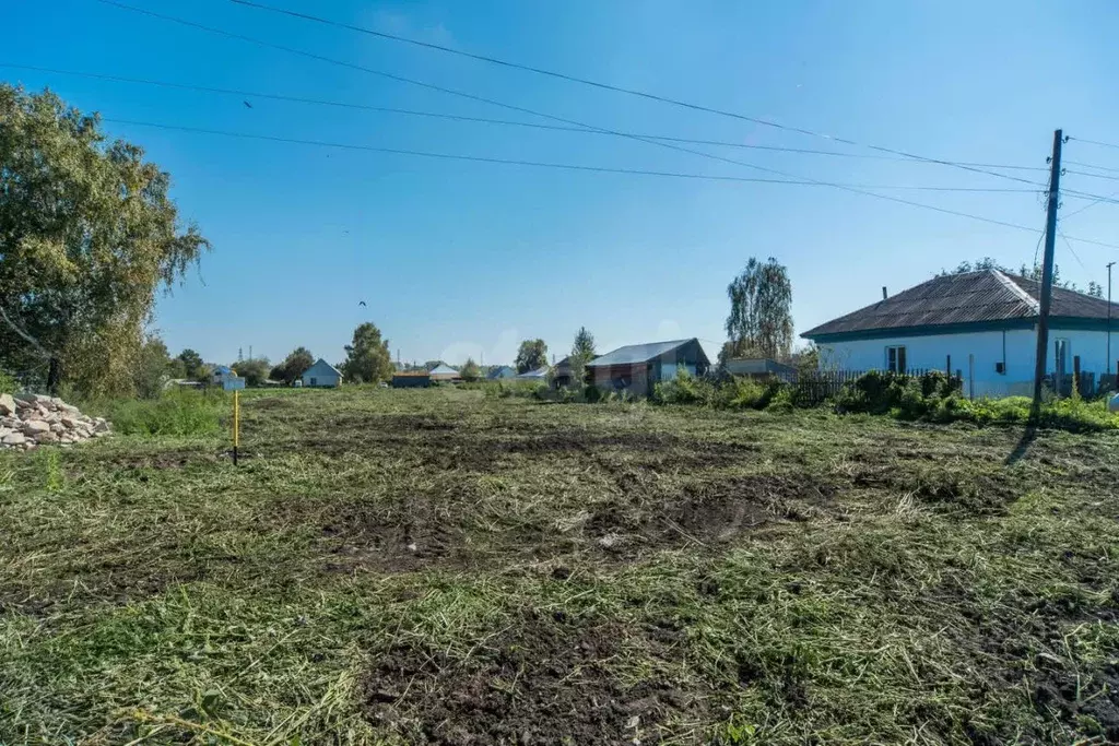 Участок в Алтайский край, Смоленский район, с. Смоленское Октябрьская ... - Фото 2