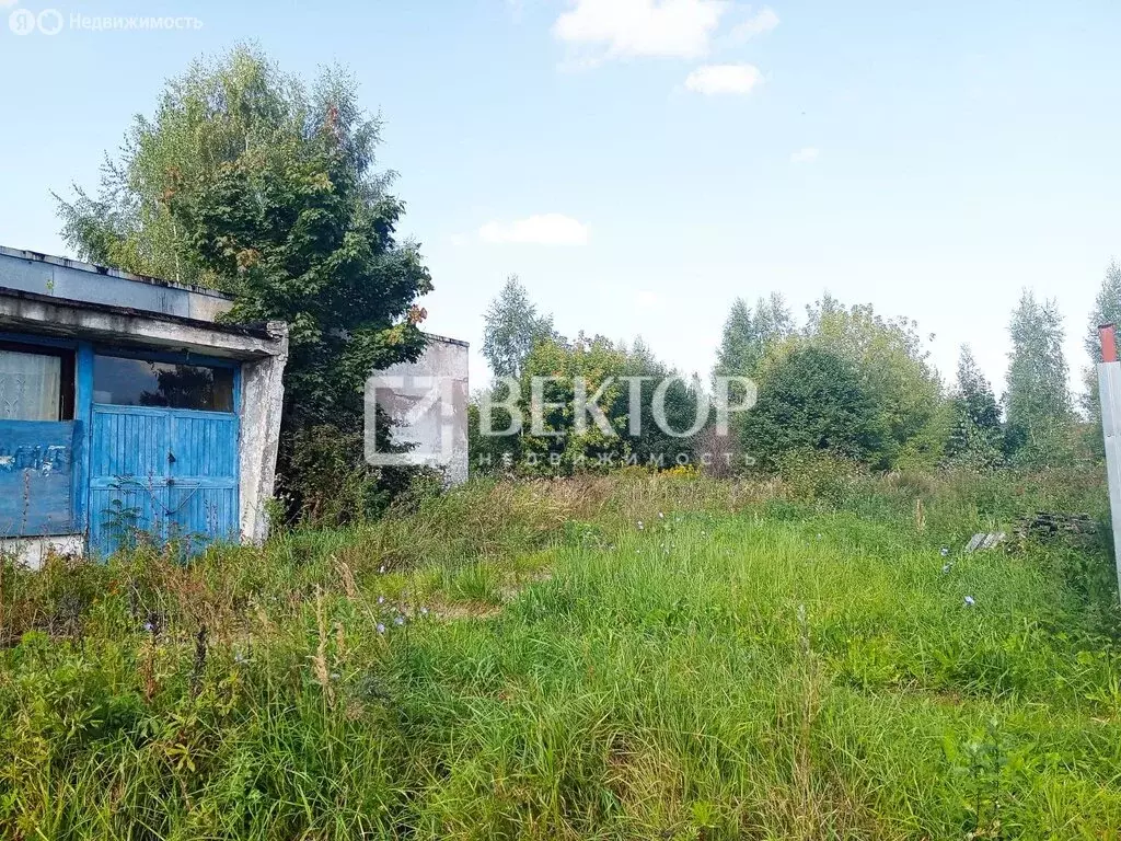 Помещение свободного назначения (290.7 м) - Фото 0