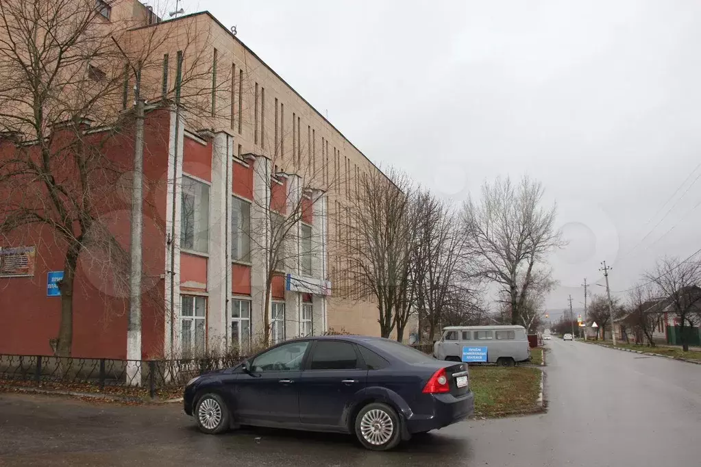Сдам помещение свободного назначения, 50 м - Фото 1