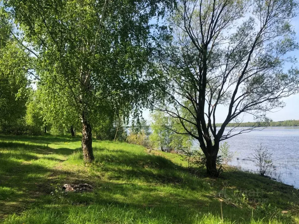 Участок в Ярославская область, Некрасовское рп  (1234.0 сот.) - Фото 0