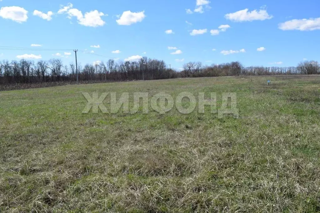 Участок в Белгородская область, Белгородский муниципальный округ, с. ... - Фото 2