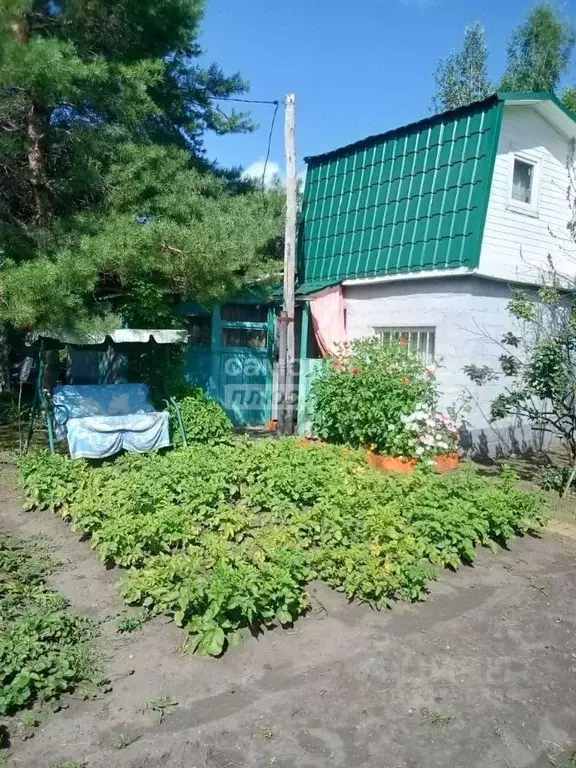Дом в Омская область, Любинский район, СНТ Сибзаводовец-3 ТСН аллея ... - Фото 0