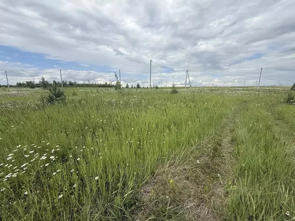 Участок в Татарстан, Лаишевский район, с. Державино  (10.0 сот.) - Фото 1
