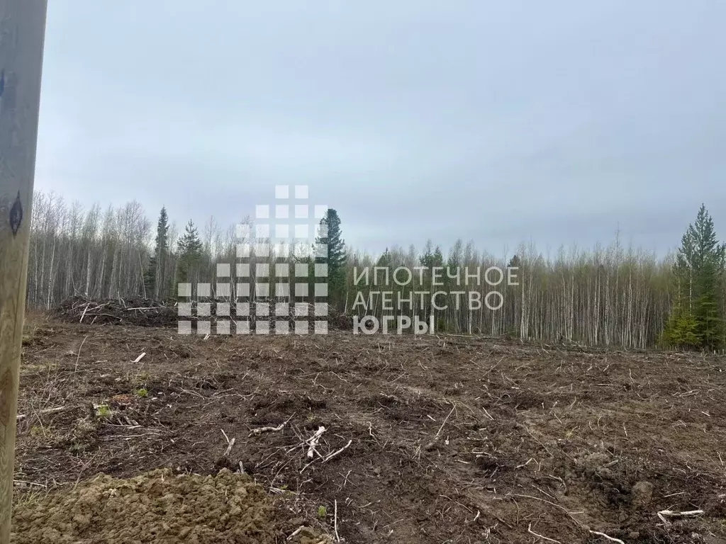 Участок в Ханты-Мансийский АО, Ханты-Мансийск Мир СОНТ,  (15.0 сот.) - Фото 2