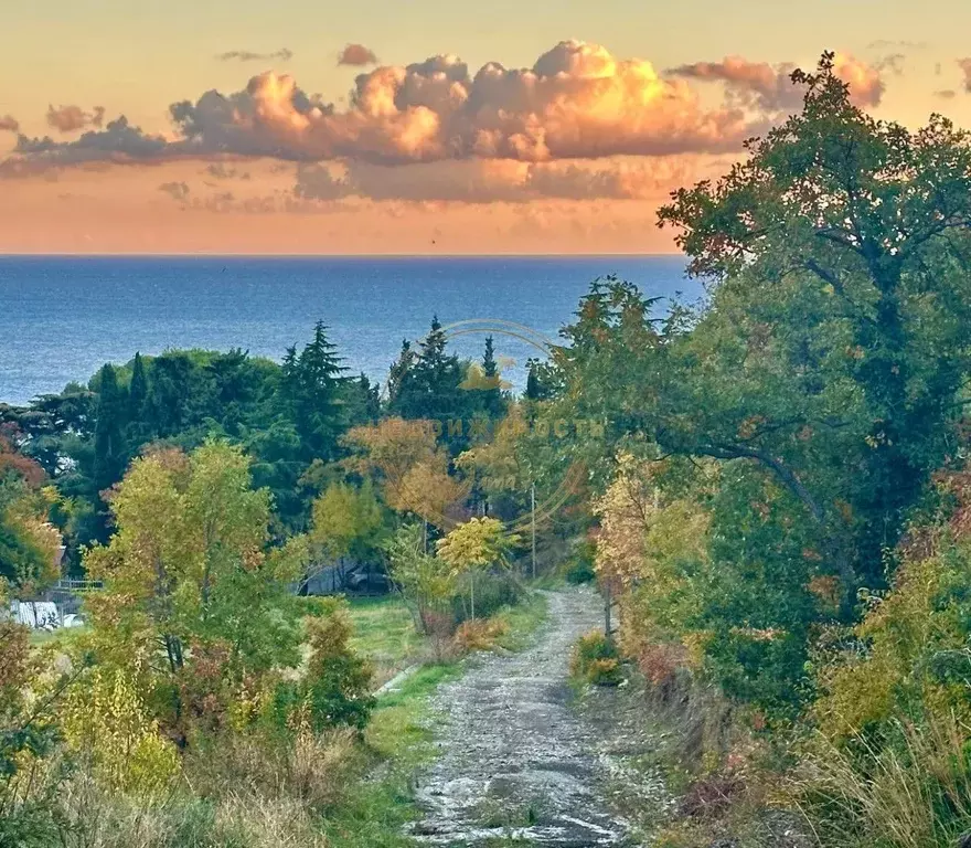 Участок в Крым, Алупка  (8.5 сот.) - Фото 1
