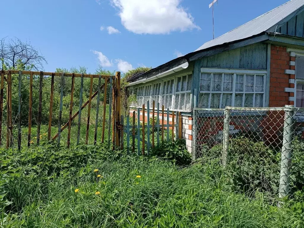 Участок в Нижегородская область, Лысковский район, с. Окишино Нижняя ... - Фото 1