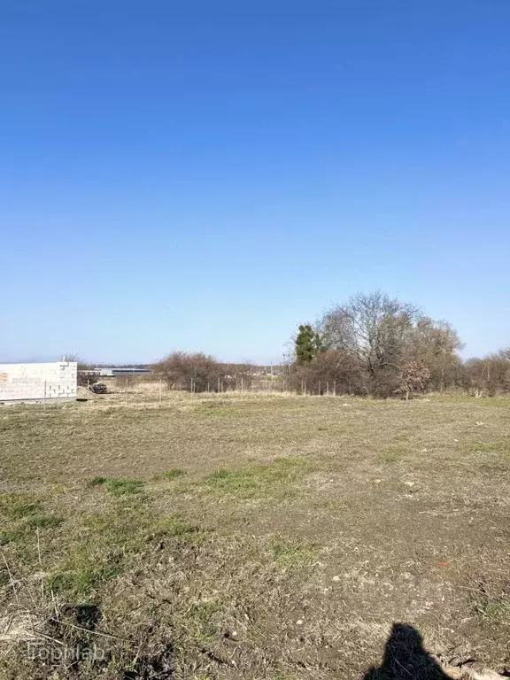 Участок в Калининградская область, Багратионовский муниципальный ... - Фото 1