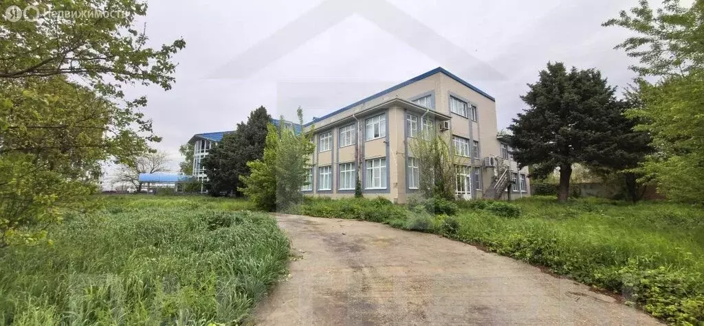 Помещение свободного назначения (2600 м) - Фото 1