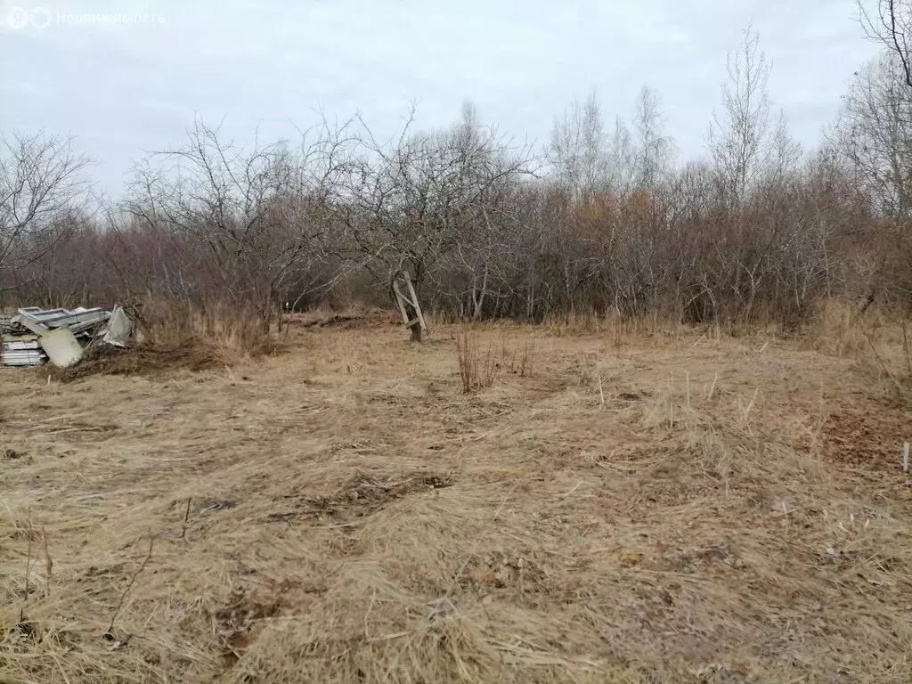 Участок в Ивангородское городское поселение, садоводческое ... - Фото 0