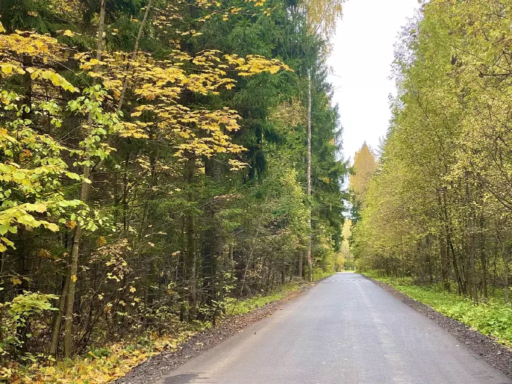 Участок в Тверская область, Конаково муниципальное образование, д. ... - Фото 0