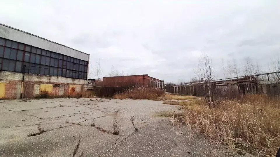 Производственное помещение в Владимирская область, Кольчугино ул. . - Фото 1