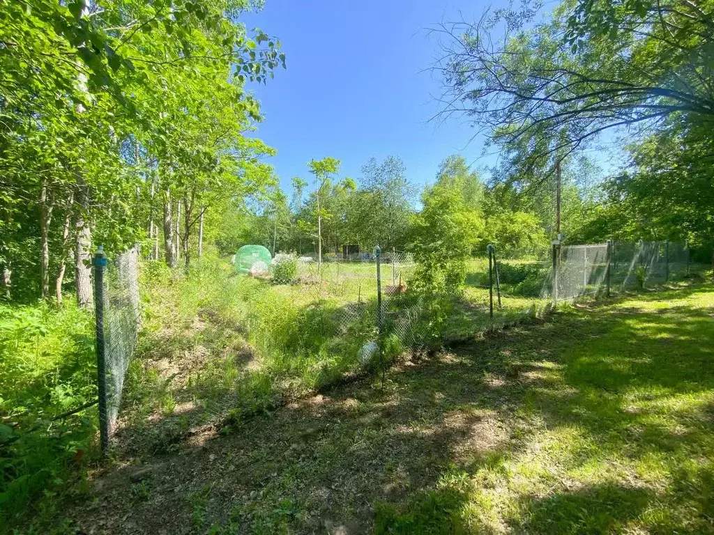 Участок в Хабаровский край, Хабаровский район, с. Корсаково-1  (8.0 ... - Фото 2