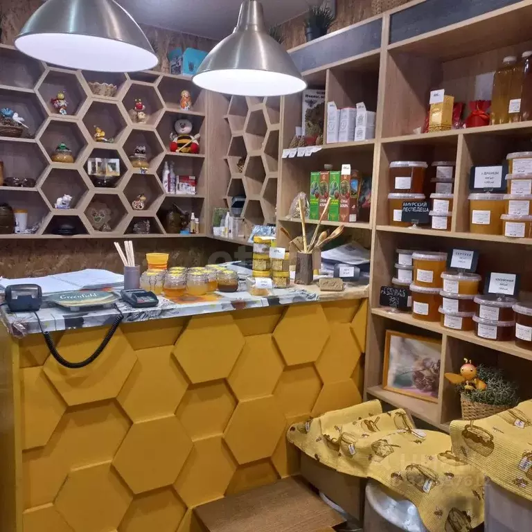 Помещение свободного назначения в Красноярский край, Железногорск ул. ... - Фото 1