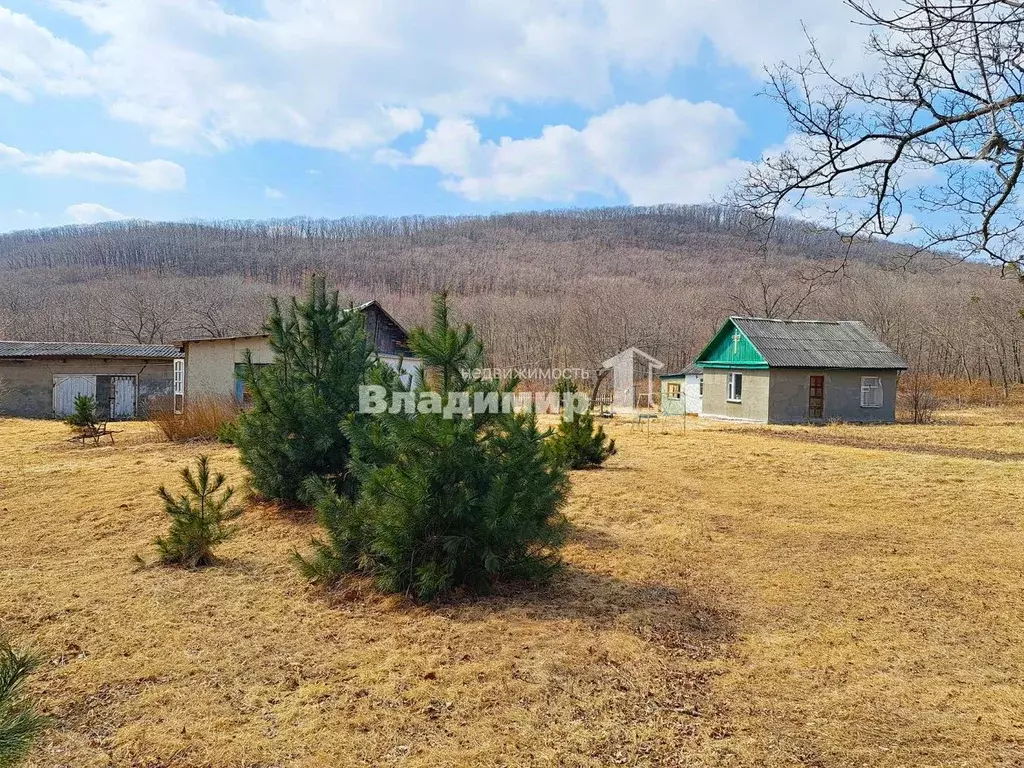 Дом в Приморский край, Находка Поселок Ливадия мкр, ул. Ливадийская, ... - Фото 0