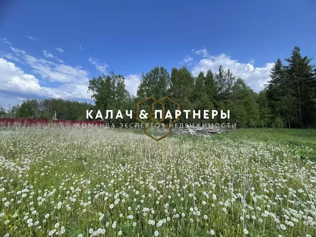 Участок в Свердловская область, Полевской муниципальный округ, с. ... - Фото 2