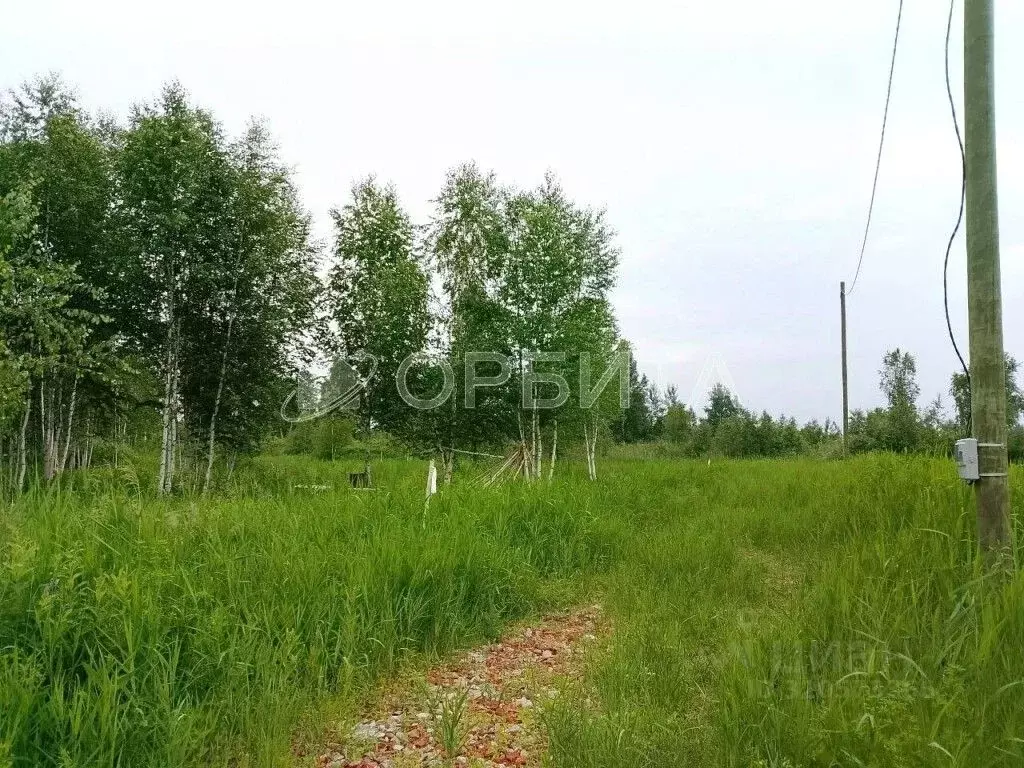 Участок в Тюменская область, Нижнетавдинский район, Строитель ТСН 860 ... - Фото 0