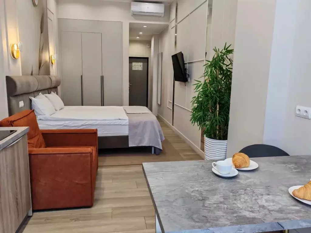 Студия Краснодарский край, Сочи Центральный мкр, ул. Навагинская, 11А ... - Фото 1