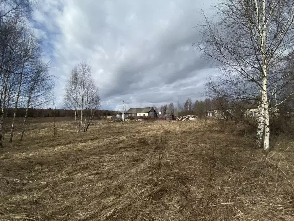 Участок в Костромская область, Костромской район, Чернопенское с/пос, ... - Фото 1