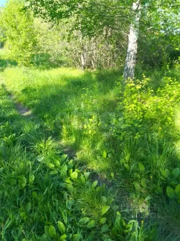 Участок в Челябинская область, Пласт ул. Автомобилистов (9.96 сот.) - Фото 1