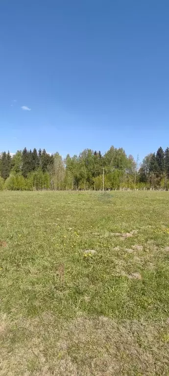 Участок в Нижегородская область, Чкаловск городской округ, с. ... - Фото 1