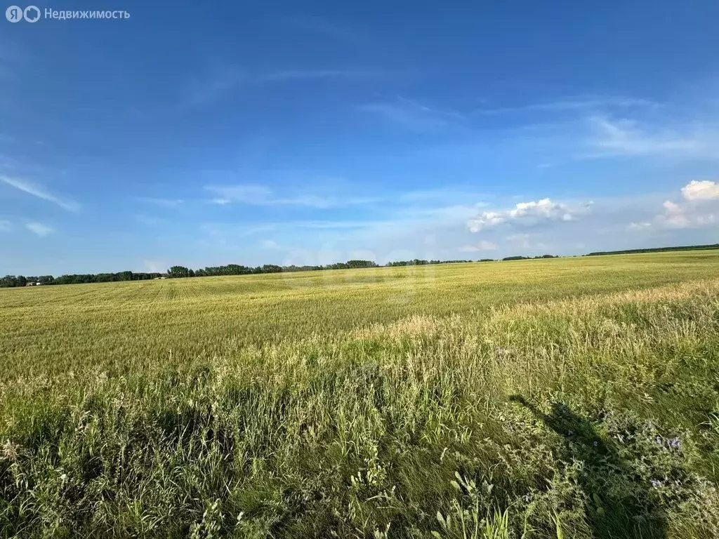 Участок в Колыванский район, СНТ Большая Семья (9.64 м) - Фото 1