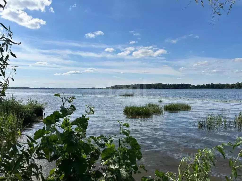 Участок в Костромская область, Костромской район, Бакшеевское с/пос, ... - Фото 1