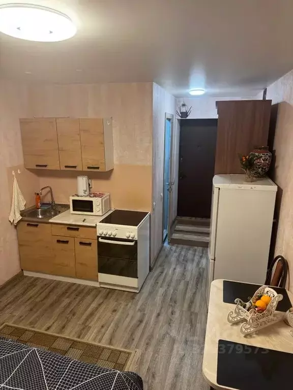 Студия Москва 9-я Парковая ул., 66К1 (17.0 м) - Фото 2