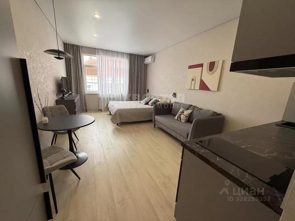 Студия Краснодарский край, Сочи ул. Ленина, 290/7к3 (29.2 м) - Фото 2