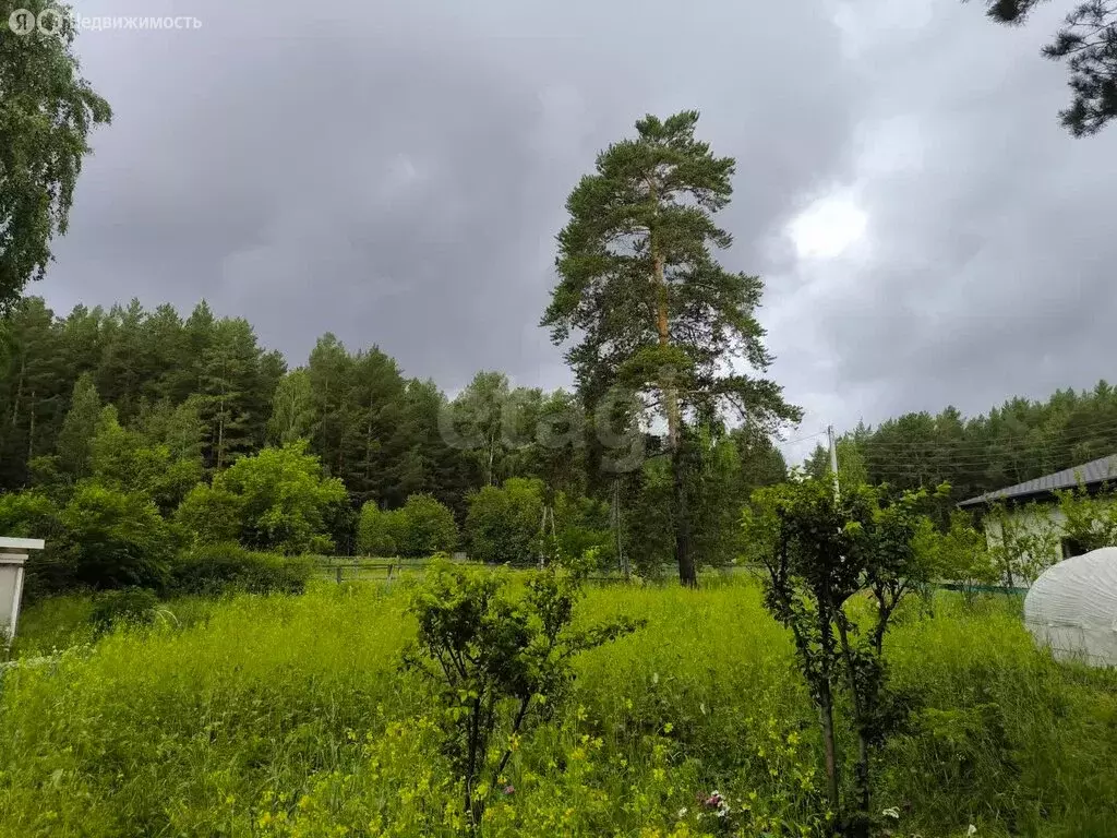 Участок в Миасский городской округ, посёлок Михеевка, Солнечная улица ... - Фото 1