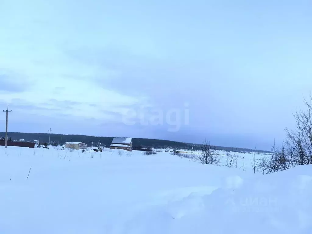 Участок в Мордовия, с. Кочкурово  (20.0 сот.) - Фото 2